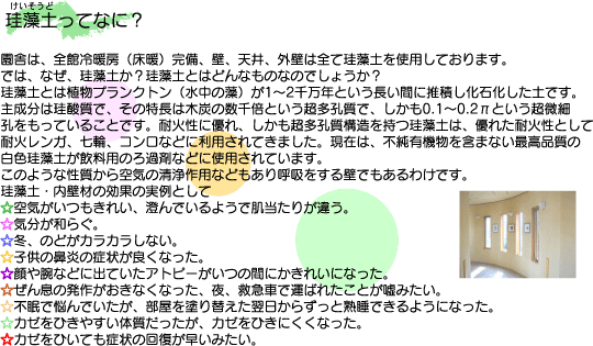 珪藻土ってなに?