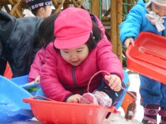 DSCN3033