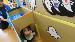 DSCN6506 - frame at 0m5s