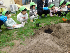 DSCN8875